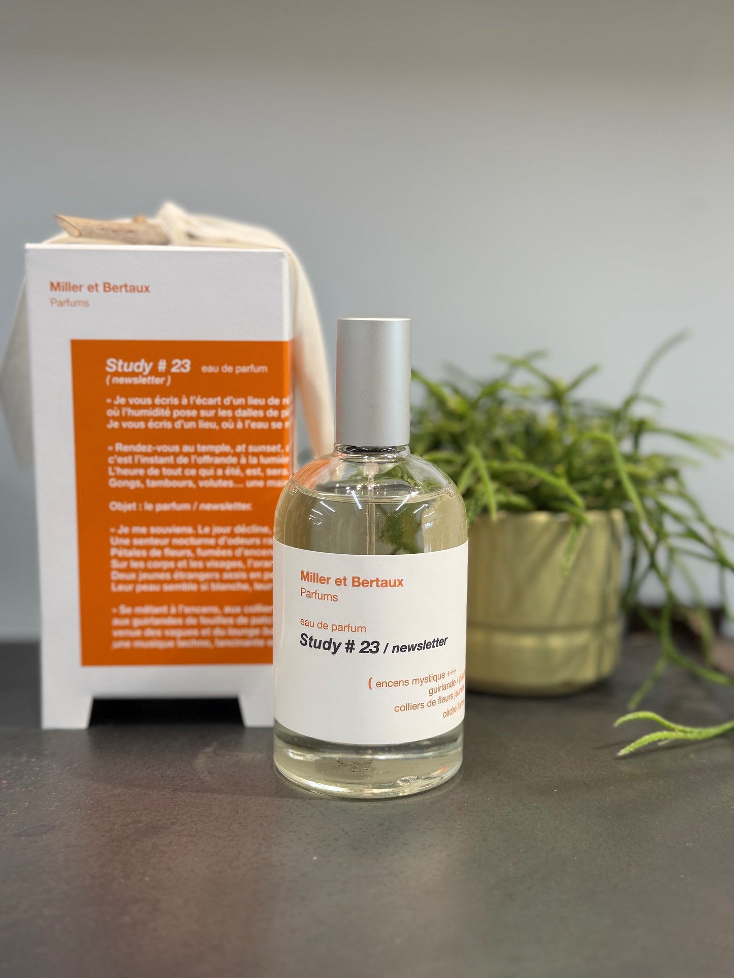 Miller et Bertaux study No 23 100ml